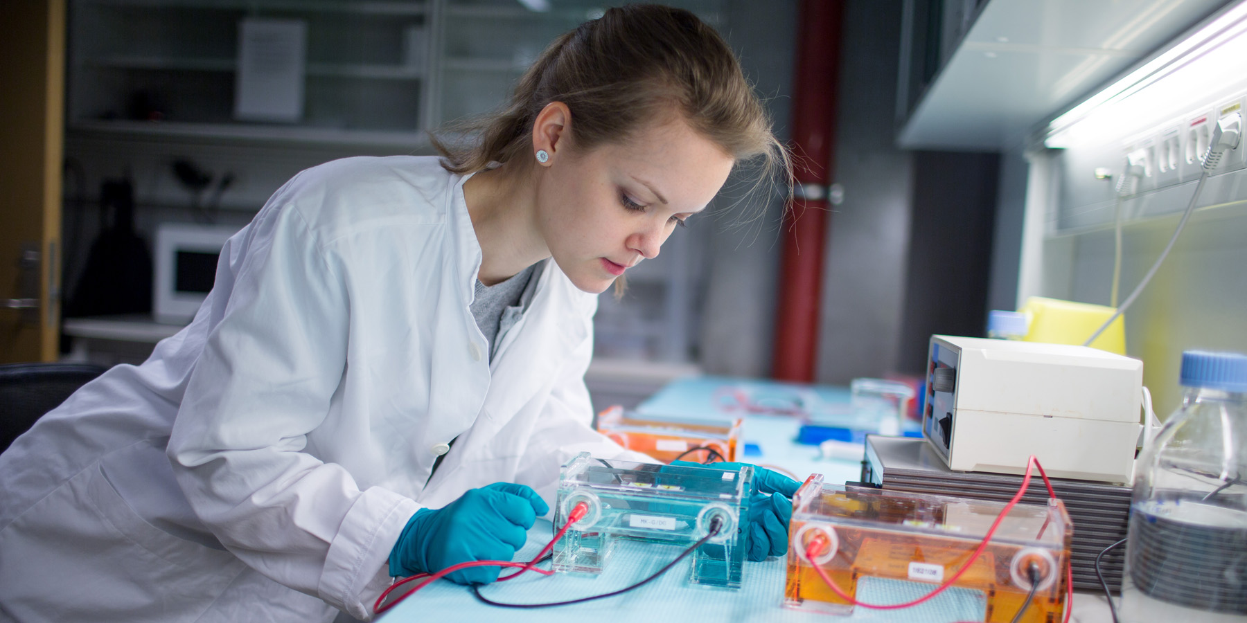 Ivano Frankivsk national medical university